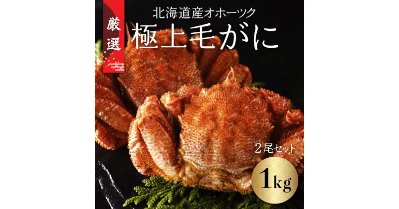 【ふるさと納税】北海道産オホーツク極上毛がに（冷凍） 2尾セット（合計約1kg） 【 ふるさと納税 人気 おすすめ ランキング 毛がに 毛ガニ カニ かに 極上 かに味噌 おいしい 北海道 網走市 送料無料 】 ABC002