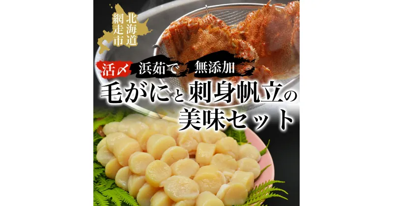 【ふるさと納税】活〆浜茹で毛がにと無添加刺身帆立の美味セット【 ふるさと納税 人気 おすすめ ランキング 毛がに 毛ガニ 毛蟹 カニ ガニ 蟹 浜茹で 帆立 ほたて ホタテ 帆立貝柱 貝柱 帆立刺身 生産者支援 支援 冷凍 オホーツク 北海道 網走市 送料無料 】 ABAO014