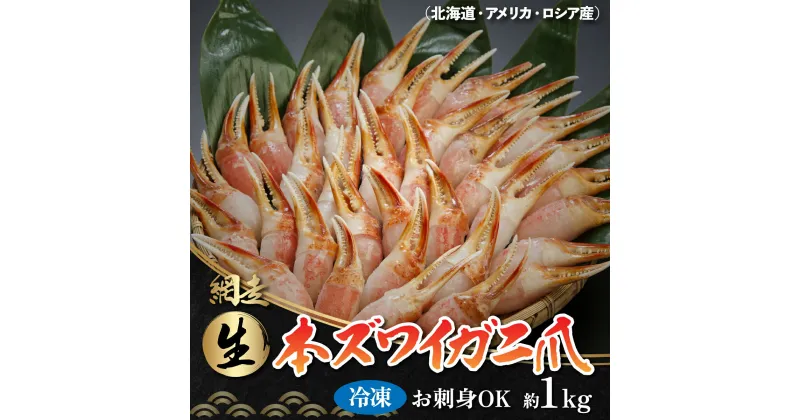 【ふるさと納税】お刺身も出来る！生冷凍ズワイガニ爪 約1kg（北海道・ロシア・アメリカ産）【 ふるさと納税 人気 おすすめ ランキング 本ズワイガニ ズワイガニ かに カニ 蟹 ガニ ズワイ ずわい ずわい蟹 冷凍 生食可 爪 オホーツク 北海道 網走市 送料無料 】 ABB013