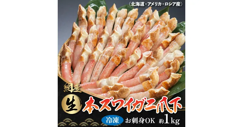 【ふるさと納税】ひとくちサイズ お刺身も出来る！生冷凍ズワイガニ爪下 約1kg（北海道産・ロシア・アメリカ産）【 ふるさと納税 人気 おすすめ ランキング ズワイガニ かに カニ 蟹 ガニ ズワイ ずわい蟹 冷凍 爪下 オホーツク 北海道 網走市 送料無料 】 ABB014