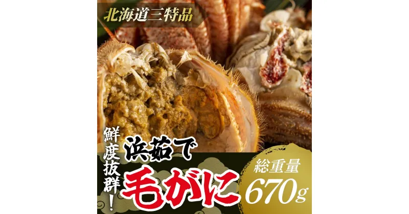 【ふるさと納税】【網走産】鮮度抜群！三特浜茹で毛がに 約670g×1尾 【 ふるさと納税 人気 おすすめ ランキング 毛がに 毛ガニ 茹で毛がに 網走産 濃厚 かに味噌 北海道 網走市 送料無料 】 ABW004