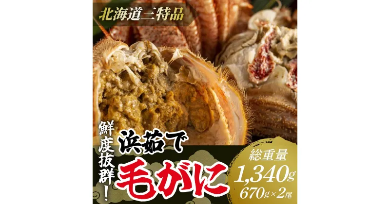 【ふるさと納税】【網走産】鮮度抜群！三特浜茹で毛がに 約670g×2尾 【 蟹 かに カニ かに大将 毛ガニ北海道 毛ガニ はまゆで 毛ガニ浜ゆで冷凍 海鮮 魚介 産地直送（北海道） 工場直送（網走市） 小分け 魚介類 人気 ランキング おすすめ 国産 オホーツク 訳あり 】 ABW009