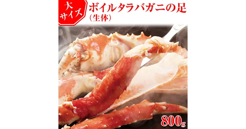 【ふるさと納税】タラバ 大サイズ ボイルタラバガニの足【800g】(生体) ※着日指定不可 【 ふるさと納税 人気 おすすめ ランキング かに カニ 蟹 タラバガニ たらば タラバ 足 脚 ロシア産 ボイル 冷凍 天然 グルメ 北海道 網走市 送料無料 】 ABX040