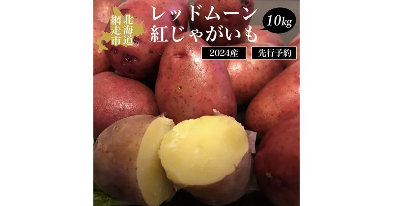 【ふるさと納税】秋の収穫美味レッドムーンじゃがいも 10kg【 ふるさと納税 人気 おすすめ ランキング レッドムーン じゃがいも ジャガイモ いも イモ 芋 10kg 野菜 支援 網走産 オホーツク 北海道 網走市 送料無料 】 ABAO071