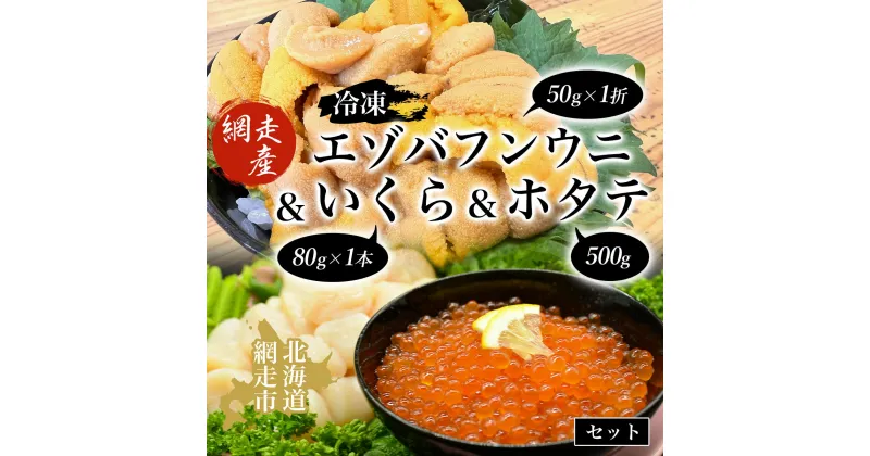 【ふるさと納税】冷凍エゾバフンウニ50g×1折＋いくら80g×1本＋ホタテ500gセット（網走市産）【 人気 ランキング うに ウニ 雲丹 バフンウニ いくら醤油漬 醤油漬け 醤油漬 いくら 帆立 ほたて ホタテ 帆立貝柱 生産者支援 オホーツク 北海道 網走市 送料無料 】 ABAO2002