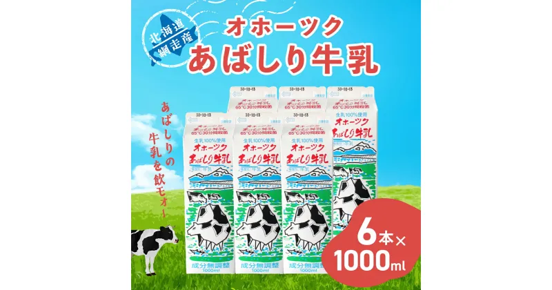 【ふるさと納税】＜網走産＞オホーツクあばしり牛乳【1000ml×6本】 【 ふるさと納税 人気 おすすめ ランキング 乳飲料 牛乳 ミルク 乳製品 オホーツク あばしり牛乳 健康 栄養豊富 紙パック 冷蔵 北海道 網走市 送料無料 】 ABAJ001