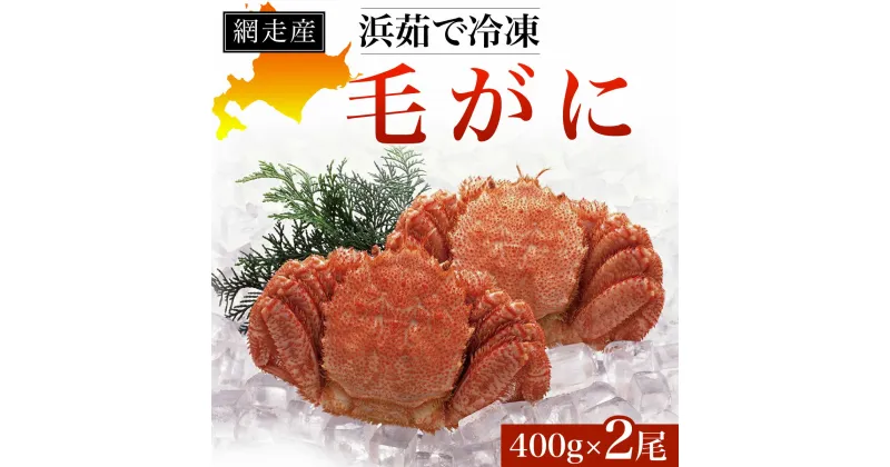 【ふるさと納税】網走産 浜茹で冷凍毛がに400g×2尾 【 ふるさと納税 人気 おすすめ ランキング 毛蟹 毛ガニ 毛がに かに味噌 カニみそ 冷凍 北海道 網走市 送料無料 】 ABD001