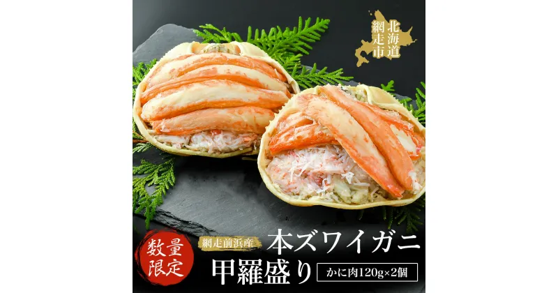 【ふるさと納税】【数量限定】＜網走前浜産＞本ズワイガニ甲羅盛り【かに肉120g】2個 【 かに カニ 蟹 毛ガニ 毛がに 毛蟹 堅ガニ 流氷明け 浜茹で 2尾 海鮮 新鮮 冷凍 オホーツク ふるさと納税 人気 おすすめ ランキング 北海道 網走市 送料無料 】ABAI004