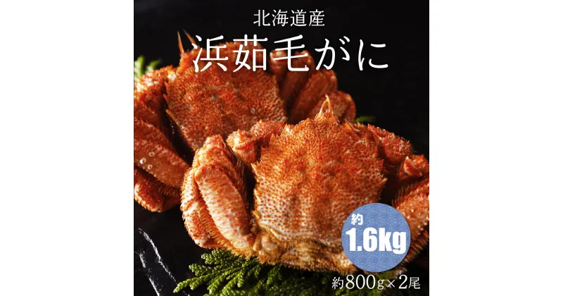 【ふるさと納税】浜茹毛がに 約800g×2尾（北海道産） 【 ふるさと納税 人気 おすすめ ランキング 毛がに 毛ガニ カニ かに 極上 かに味噌 おいしい 北海道 網走市 送料無料 】 ABC003