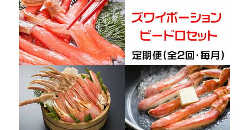 【ふるさと納税】【定期便】本ズワイガニ満喫2回定期便1.7kg＜網走市産＞ 【 ふるさと納税 人気 おすすめ ランキング ズワイガニ ずわいがに かに カニ 蟹 ガニ ズワイ ズワイ蟹 ポーション むき身 500g 冷凍 刺身 定期便 オホーツク 北海道 網走市 送料無料 】 ABE025