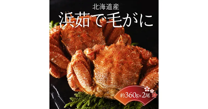 【ふるさと納税】＜北海道産＞浜茹で毛がに【360g×2尾】（網走加工） 【 ふるさと納税 人気 おすすめ ランキング 毛蟹 毛ガニ 毛がに 浜茹で まるごと かに味噌 北海道 網走市 送料無料 】 ABC015