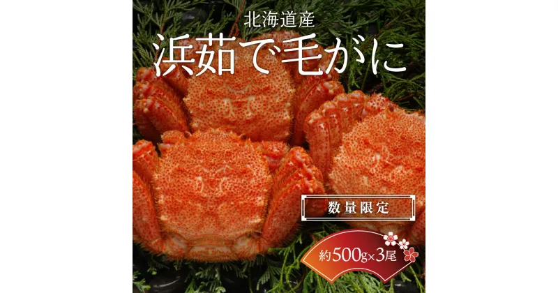 【ふるさと納税】【数量限定】＜北海道産＞浜茹で毛がに【約500g×3尾】（網走加工） 【 ふるさと納税 人気 おすすめ ランキング 毛蟹 毛ガニ 毛がに かに味噌 カニみそ 浜茹で 北海道 網走市 送料無料 】 ABC017