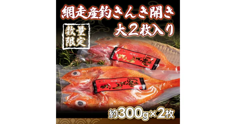 【ふるさと納税】【数量限定】＜網走産＞釣きんき開き大2枚入り（網走加工） 【 ふるさと納税 人気 おすすめ ランキング 釣きんき 釣キンキ 釣りきんき キンキ 干物 一夜干し 開き 魚 網走産 お手軽 簡単 新鮮 冷凍 絶品 北海道 網走市 送料無料 】 ABF006