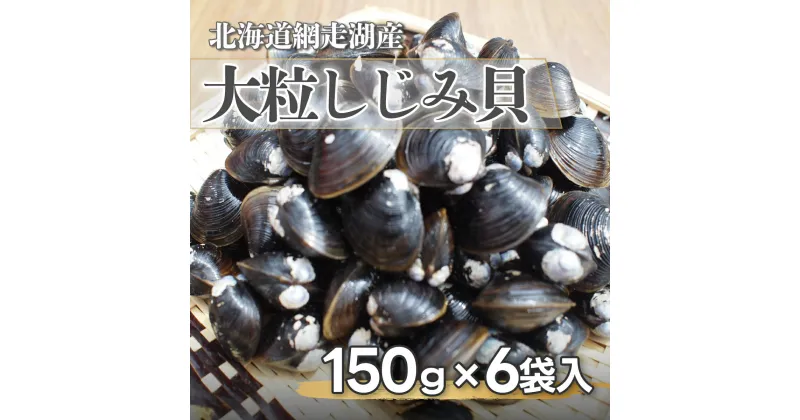 【ふるさと納税】網走湖産大粒しじみ貝150g×6袋 【 ふるさと納税 人気 おすすめ ランキング しじみ シジミ 蜆 しじみ貝 シジミ貝 貝 北海道しじみ 北海道シジミ しじみ北海道 シジミ北海道 大粒 汁 味噌汁 網走湖 網走湖産 北海道 網走市 送料無料 】 ABF012