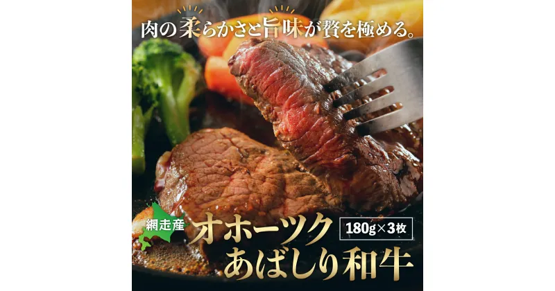 【ふるさと納税】＜網走産＞オホーツクあばしり和牛 【 ふるさと納税 人気 おすすめ ランキング オホーツクあばしり和牛 ブランド和牛 限定生産 希少 北海道 網走市 送料無料 】 ABM007