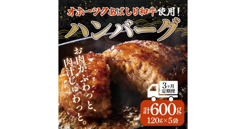 【ふるさと納税】＜網走産＞【3ヶ月定期便】【オホーツクあばしり和牛】ハンバーグ・総重量 600g（120g×5個）×3ヶ月 【 ふるさと納税 人気 おすすめ ランキング 牛ハンバーグ オホーツクあばしり和牛 和牛100% 北海道 網走市 送料無料 】 ABW015