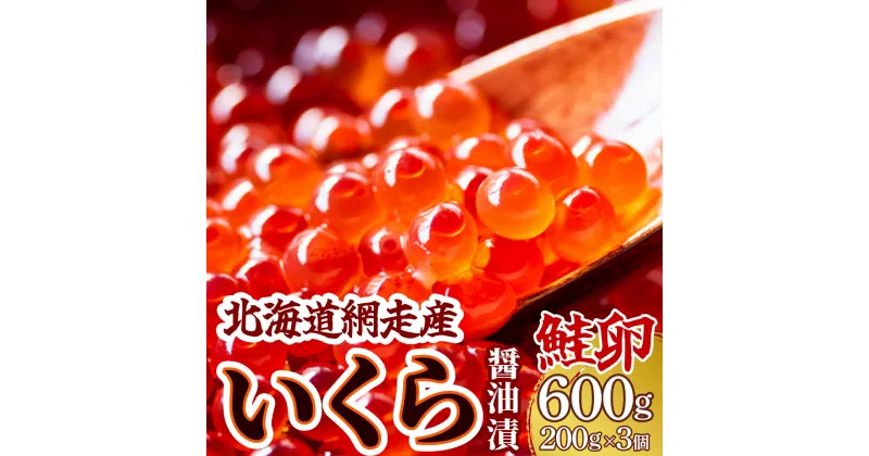 【ふるさと納税】＜網走産＞いくら醤油漬(鮭卵)600g（200g×3）【 いくら イクラ いくら醤油漬け イクラ醤油漬け 醤油漬け 醤油漬 いくら醤油漬 イクラ醤油漬 鮭いくら 鮭 さけ 鮭卵 北海道 北海道産 冷凍 人気 ランキング おすすめ オホーツク 網走市 送料無料 】 ABW014