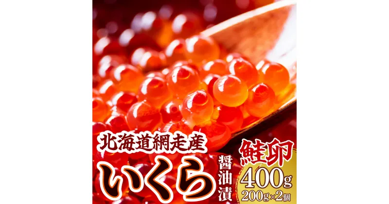 【ふるさと納税】＜網走産＞いくら醤油漬(鮭卵)400g（200g×2）【 いくら イクラ いくら醤油漬け イクラ醤油漬け 醤油漬け 醤油漬 いくら醤油漬 イクラ醤油漬 鮭いくら 鮭 さけ 鮭卵 冷凍 北海道 北海道産 人気 ランキング おすすめ オホーツク 網走市 送料無料 】 ABW013