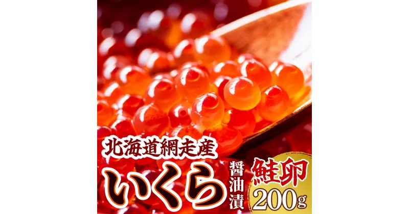 【ふるさと納税】＜網走産＞いくら醤油漬(鮭卵)200g（200g×1）【 いくら イクラ いくら醤油漬け イクラ醤油漬け 醤油漬け 醤油漬 いくら醤油漬 イクラ醤油漬 鮭いくら 鮭 さけ 鮭卵 冷凍 北海道 北海道産 人気 ランキング おすすめ オホーツク 網走市 送料無料 】 ABW012