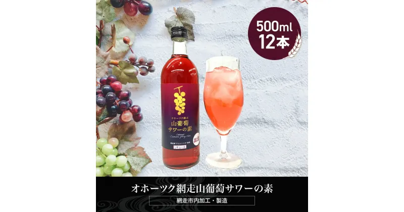 【ふるさと納税】オホーツク網走山葡萄サワーの素 500ml×12本入り（網走市加工・製造）【 ふるさと納税 人気 おすすめ ランキング ぶどうサワー 葡萄サワー ブドウサワー 素 お酒 流氷 オホーツク 宅飲み ご当地 お中元 お歳暮 ギフト 北海道 網走市 送料無料 】 ABH051