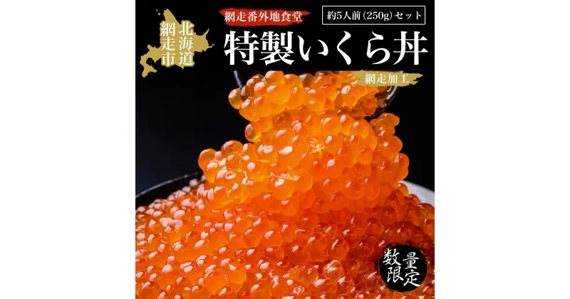 【ふるさと納税】【数量限定】網走番外地食堂特製いくら丼約5人前セット（網走加工）【 ふるさと納税 人気 おすすめ ランキング いくら醤油漬 イクラ醤油漬 醤油漬け 醤油漬 鮭 鮭卵 いくら さけ サケ いくら丼 海鮮 冷凍 オホーツク 北海道 網走市 送料無料 】 ABAO2091