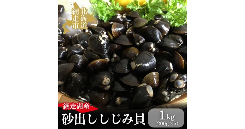 【ふるさと納税】網走湖産の砂出ししじみ貝200g×5袋 【 ふるさと納税 人気 おすすめ ランキング しじみ シジミ 蜆 しじみ貝 シジミ貝 貝シジミ汁 しじみ汁 貝 砂抜き 砂出し 冷凍 1kg 網走湖 網走湖産 オホーツク 北海道 網走市 送料無料 】 ABAO2194