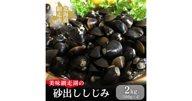 【ふるさと納税】美味網走湖の砂出ししじみ【2kg】 | ふるさと納税 人気 おすすめ ランキング しじみ シジミ 蜆 しじみ貝 シジミ貝 貝シジミ汁 しじみ汁 貝 砂抜き 砂出し 冷凍 2kg 網走湖 網走湖産 オホーツク 北海道 網走市 送料無料 | ABAO2197