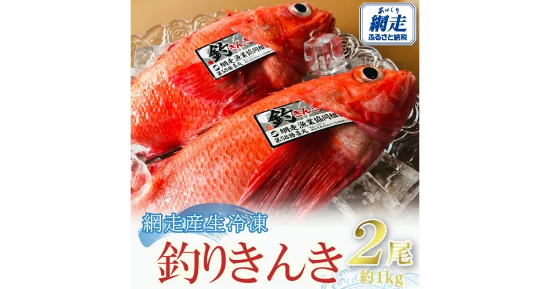 【ふるさと納税】網走産生冷凍釣きんき【2尾で約1kg】【ふるさと納税 人気 おすすめ ランキング きんき キンキ 釣りキンキ 釣りきんき 釣キンキ 釣きんき 喜知次 めんめ メンメ お祝い ギフト お歳暮 セット 冷凍 海鮮 新鮮 オホーツク 北海道 網走市 送料無料】ABAO073