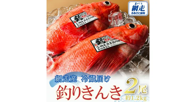 【ふるさと納税】【冷蔵届け】網走産釣きんき【2尾で約1.2kg】【ふるさと納税 人気 おすすめ ランキング きんき キンキ 釣りキンキ 釣りきんき 釣キンキ 釣きんき 喜知次 めんめ メンメ お祝い ギフト 冷蔵 海鮮 新鮮 オホーツク 北海道 網走市 送料無料】ABAO074