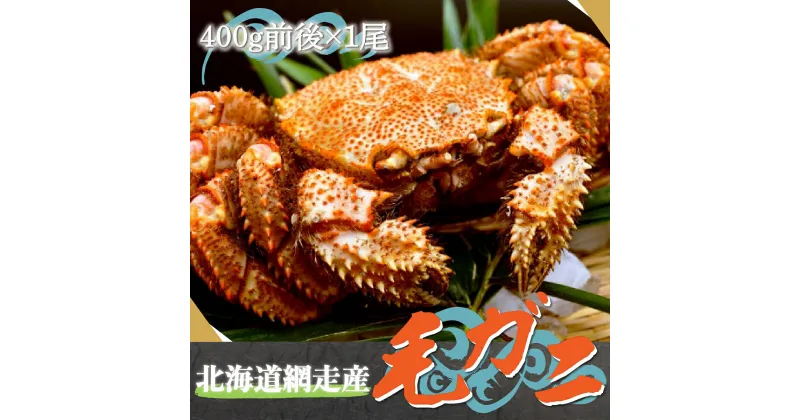 【ふるさと納税】北海道網走産毛ガニ（400g前後×1尾） 【 ふるさと納税 人気 おすすめ ランキング 毛がに 毛ガニ かに 蟹 網走産 濃厚 かに味噌 みそ 海鮮 新鮮 オホーツク 北海道 網走市 送料無料 】 ABE081