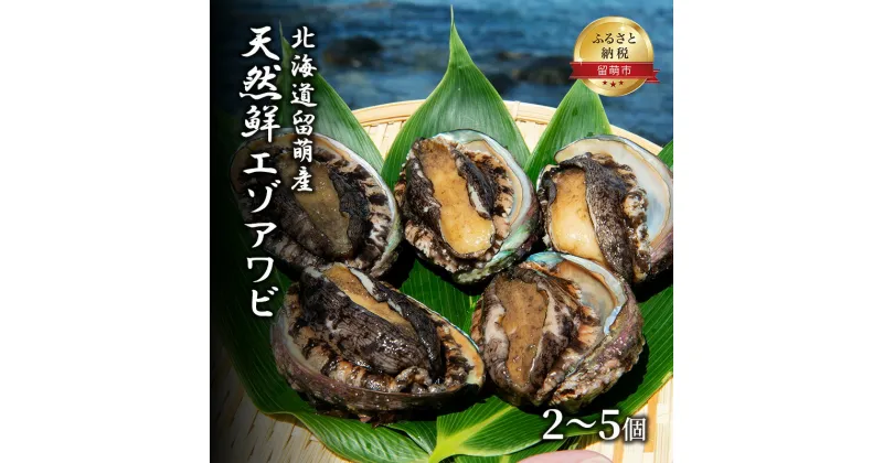 【ふるさと納税】あわび 北海道留萌産 天然 鮮エゾアワビ 2～5個 産地直送 アワビ 鮑 エゾアワビ 貝 貝類 魚介 魚介類 海鮮 北海道 留萌 日時指定不可　 留萌市 　お届け：2025年1月末まで