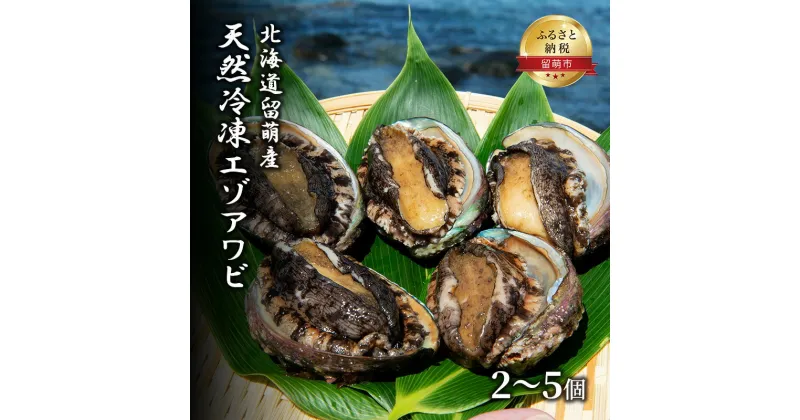 【ふるさと納税】あわび 北海道 天然 蝦夷アワビ 2～5個 産地直送 冷凍 魚貝 貝 殻付 海鮮 海産物 海の幸 魚介 魚介類 刺身 刺し身 お刺身 ステーキ バーベキュー BBQ アワビ 鮑 エゾアワビ 留萌産 留萌 留萌市　留萌市