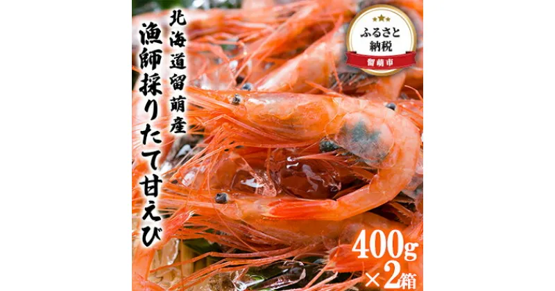 【ふるさと納税】甘エビ 北海道 漁師採りたて 甘えび 400g×2箱 留萌産 あまえび 甘海老 海老 エビ 南蛮エビ つまみ おつまみ ご飯のお供 おかず 海鮮 海産物 海の幸 魚介 魚介類 刺身 お刺身 刺し身 さしみ 天ぷら 冷凍 留萌　 留萌市 　お届け：2023年1月中旬～