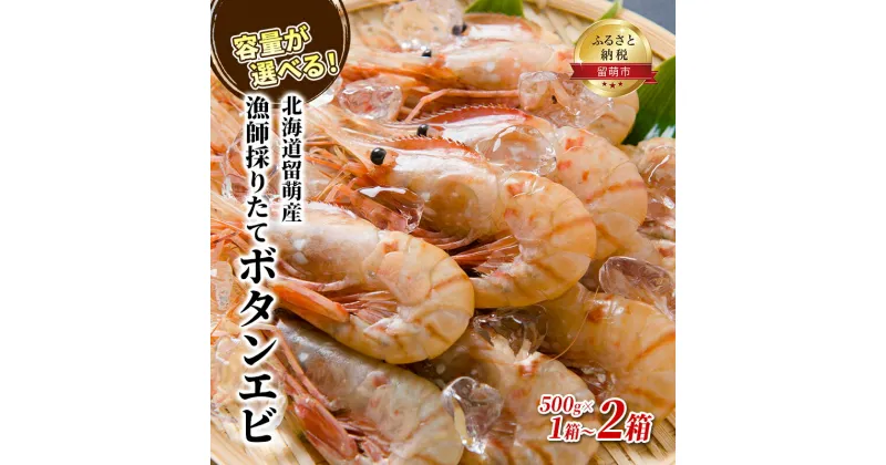 【ふるさと納税】漁師採りたて ボタンエビ 500g 2箱 北海道留萌産 ボタンえび ぼたんえび ボタン海老 えび エビ 海老 お刺身 刺身 塩焼き 塩ゆで 天ぷら 海鮮 魚介 魚介類 北海道 留萌 留萌市