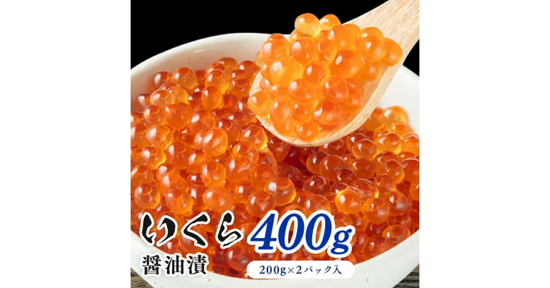 【ふるさと納税】鮭いくら 北海道 いくら 醤油漬け 400g （200g×2P入） 小分け 鮭 イクラ 醤油いくら 大粒 大粒いくら つまみ おつまみ ご飯のお供 海鮮 海産物 海の幸 魚介 魚介類 魚卵 加工品 海鮮丼 手巻き寿司 イクラ丼 寿司 寿司ネタ 冷凍 留萌　留萌市