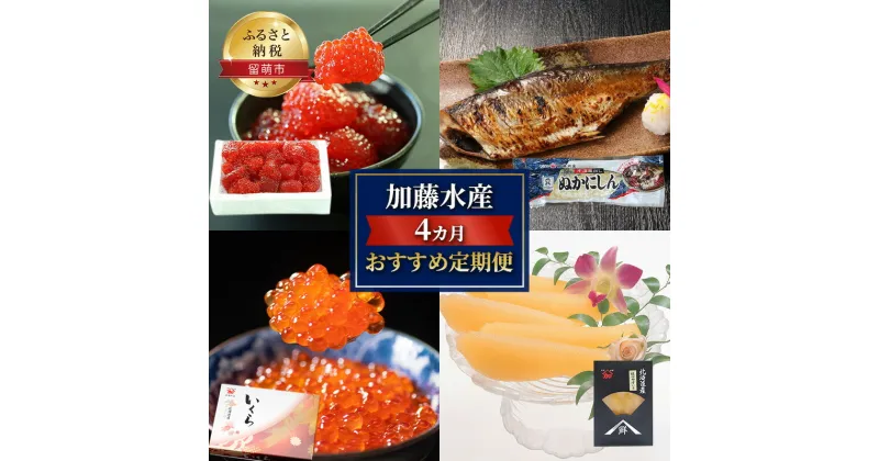 【ふるさと納税】加藤水産 4カ月 おすすめ定期便　定期便・魚貝類・漬魚・魚貝類・いくら・魚卵・魚貝類・数の子