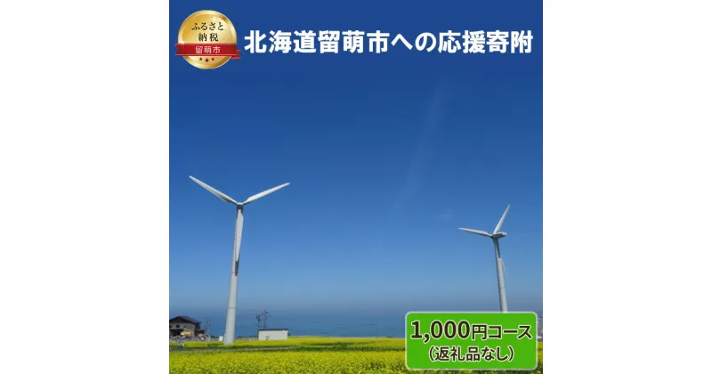 【ふるさと納税】北海道留萌市 寄附のみの応援受付 1,000円コース（返礼品なし 寄附のみ 1000円）　 チケット 寄付 応援 留萌市