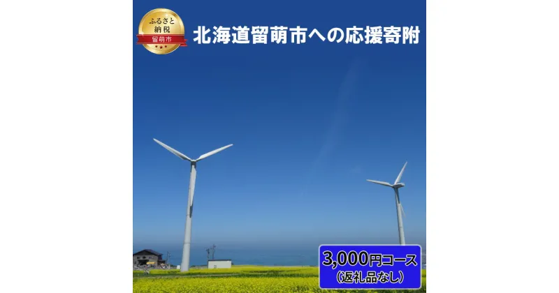 【ふるさと納税】北海道留萌市 寄附のみの応援受付 3,000円コース（返礼品なし 寄附のみ 3000円）　 チケット 寄付 応援 留萌市