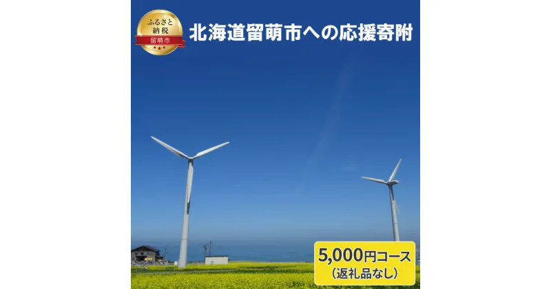 【ふるさと納税】北海道留萌市 寄附のみの応援受付 5,000円コース（返礼品なし 寄附のみ 5000円）　 チケット 寄付 応援 留萌市