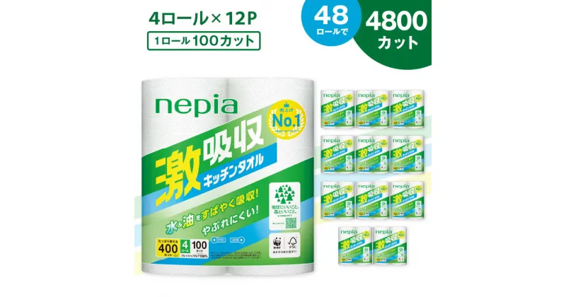 【ふるさと納税】【A012】 紙のまち 苫小牧 王子ネピア 激吸収 キッチンタオル 100 （ 48ロール ） キッチンペーパー キッチン タオル ペーパー ミシン目 厚手 ネピア nepia 日用品 消耗品 まとめ買い 開発ストア 北海道 苫小牧市 おすすめ ランキング プレゼント ギフト