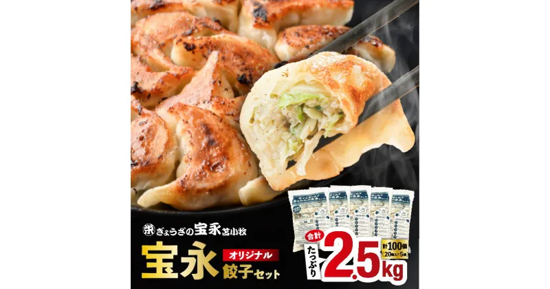 【ふるさと納税】【 ぎょうざの宝永 】 宝永 餃子 （ 500g × 5袋 ）合計 2.5kg 冷凍餃子 ギョーザ ぎょうざ 中華 焼き餃子 水餃子 簡単調理 冷凍食品 冷凍 焼くだけ おかず 惣菜 お取り寄せ 苫小牧 苫小牧市 北海道 送料無料