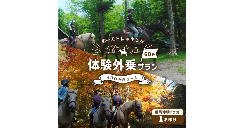 【ふるさと納税】ホーストレッキング 体験外乗プラン コースが選べる 北海道 苫小牧