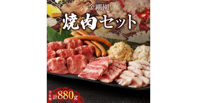 【ふるさと納税】金剛園 焼肉 セット 肉 牛 豚 BBQ バーベキュー カルビ 豚トロ ホルモン 直腸 タン塩 ウインナー つけだれ もみだれ タレ付き 冷凍 小分け 保存 お取り寄せ 肉 お肉 おかず 惣菜 味付き 苫小牧市 苫小牧 北海道 送料無料