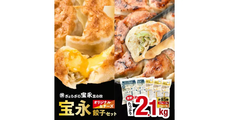 【ふるさと納税】【 ぎょうざの宝永 】 宝永 餃子 （ 500g × 2袋 ）＆ チーズ餃子 （ 375g × 3袋 ） セット 合計 2,125g ぎょうざ 冷凍餃子 中華 焼き餃子 チーズ 食べ比べ 食べ比べセット 冷凍 惣菜 おかず おつまみ お取り寄せ 苫小牧市 苫小牧 北海道 送料無料