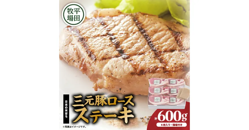 【ふるさと納税】日本の米育ち平田牧場 三元豚ロースステーキ 100g×6（計600g） 肉 お肉 にく 食品 苫小牧市産 人気 おすすめ 送料無料 ギフト