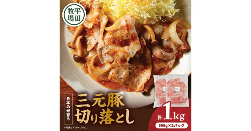 【ふるさと納税】日本の米育ち平田牧場 三元豚切り落とし 500g×2（計1kg） 肉 お肉 にく 食品 苫小牧市産 人気 おすすめ 送料無料 ギフト