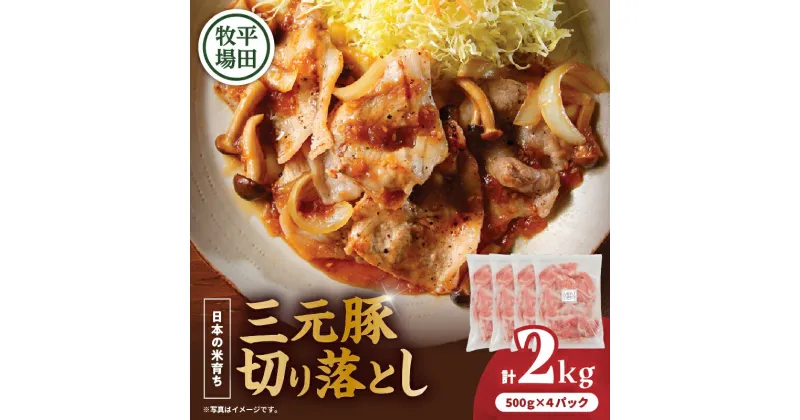 【ふるさと納税】日本の米育ち平田牧場 三元豚切り落とし 500g×4（計2kg） 肉 お肉 にく 食品 苫小牧市産 人気 おすすめ 送料無料 ギフト