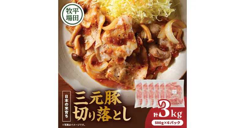 【ふるさと納税】日本の米育ち平田牧場 三元豚切り落とし 500g×6（計3kg） 肉 お肉 にく 食品 苫小牧市産 人気 おすすめ 送料無料 ギフト