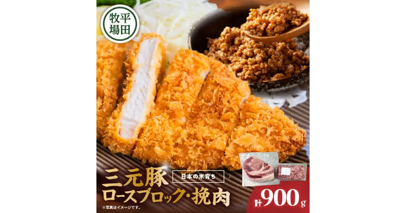 【ふるさと納税】日本の米育ち平田牧場 三元豚ロースブロック（600g）・挽肉（300g）計900g 肉 お肉 にく 食品 苫小牧市産 人気 おすすめ 送料無料 ギフト