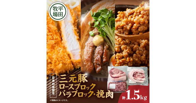 【ふるさと納税】日本の米育ち平田牧場 三元豚ロースブロック（600g）・バラブロック（600g）・挽肉（300g）計1.5kg 肉 お肉 にく 食品 苫小牧市産 人気 おすすめ 送料無料 ギフト